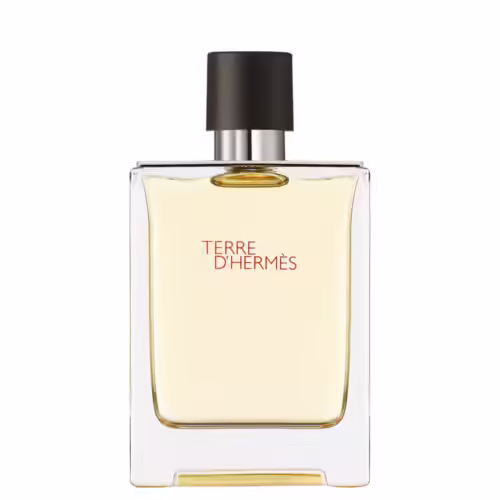 hermes-terre-d-hermes-eau-de-toilette-pour-homme-100ml-2